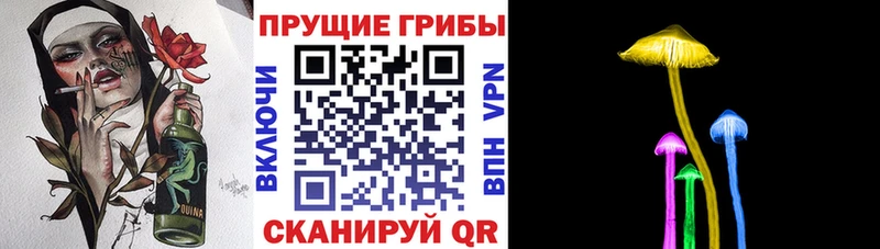Галлюциногенные грибы GOLDEN TEACHER  Адыгейск 