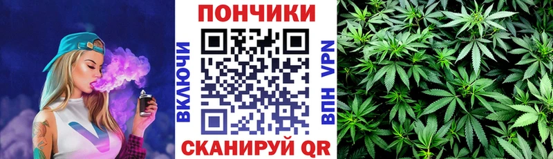 наркотики  Адыгейск  Канабис VHQ 